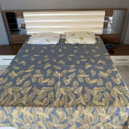 アパート Fully Furnished With View アランヤ